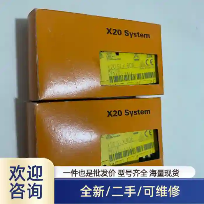 安全模块，型号X20SLX806，两个，包