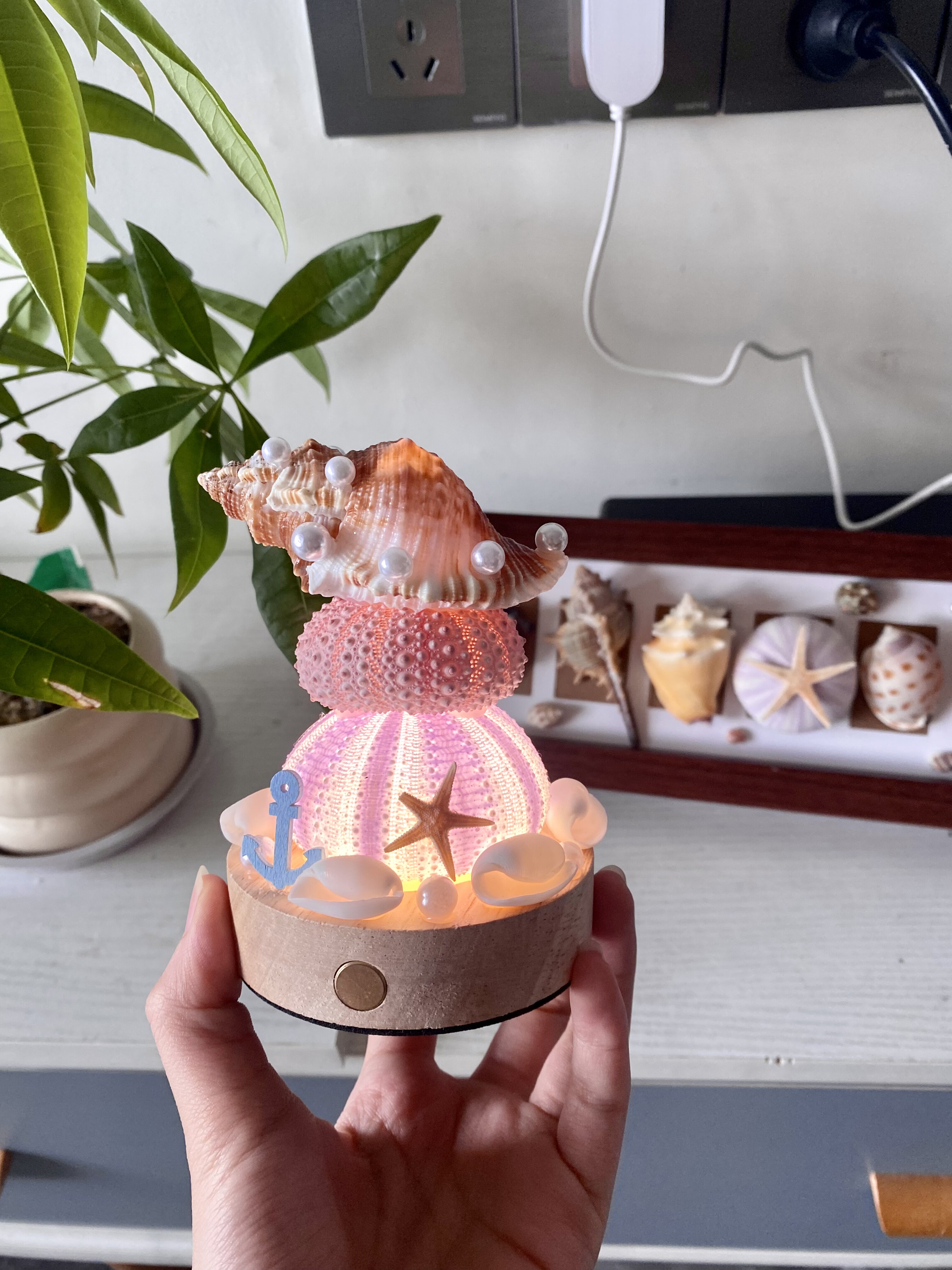 原创手作海胆海螺夜灯海洋风氛围小夜灯创意摆件生日节日氛围礼物