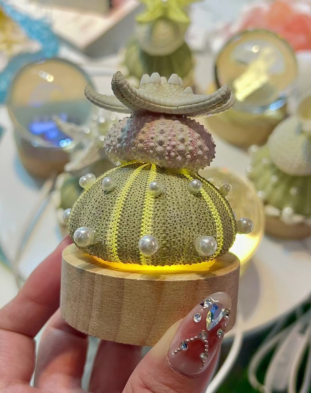 海南三亚威海特色伴手礼原创手作天然海胆海螺珍珠贝壳氛围灯礼物