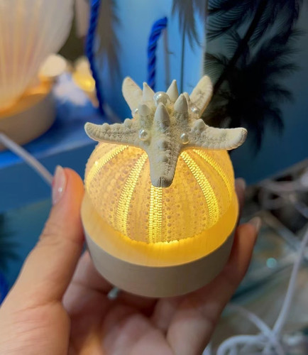 秦皇岛北戴河文创伴手礼儿童原创手作天然海胆夜灯小朋友小众礼物