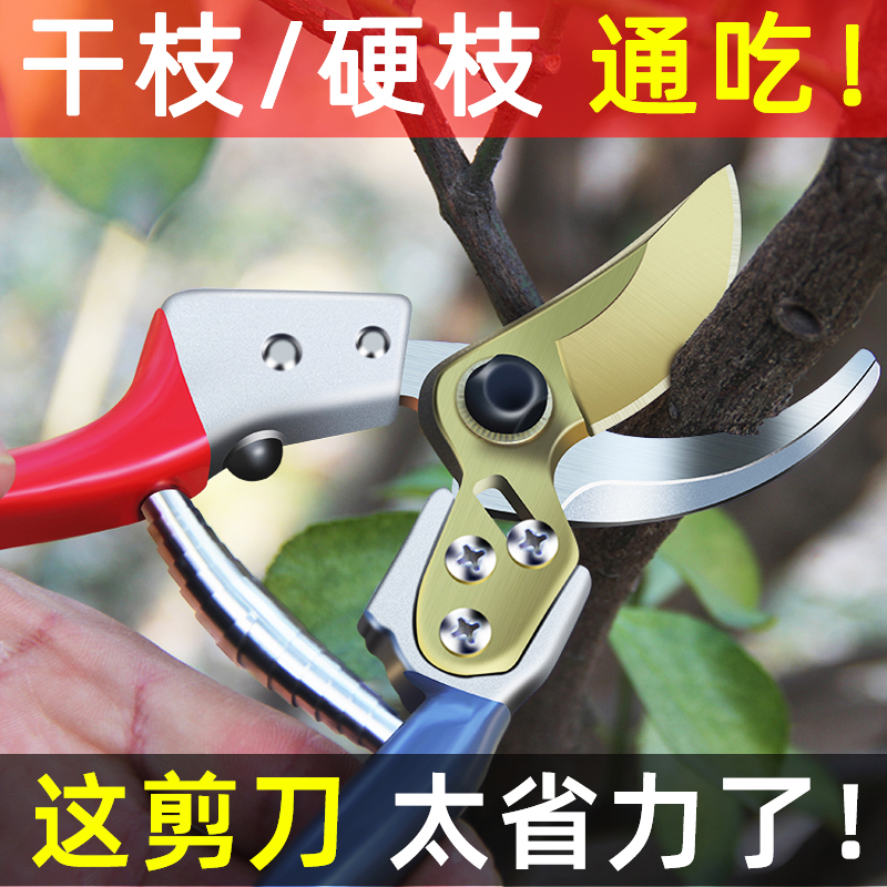剪刀修枝剪树枝专用剪子粗枝花艺园林花剪家用园艺花卉修花果枝剪