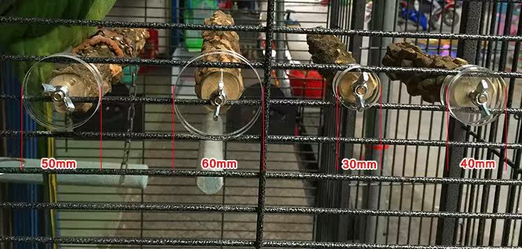 鹦鹉站棍鸟站棍垫片亚克力加厚圆环圆形片透明非不锈钢片鸟笼配件在类目 3C数码配件, 电子元器件市场, 电子元件, 其它元器件中 - 来自Buy2taobao.com提供专业的淘宝代购服务