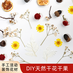 饰尤加利叶薰衣草肉桂松果干果 天然干花diy材料永生花手工活动装