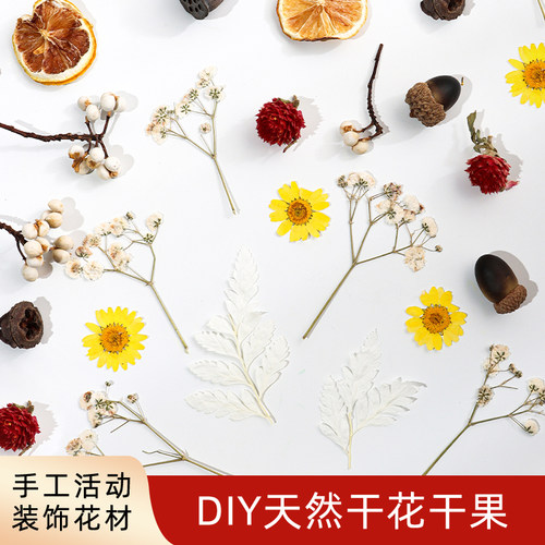 天然干花diy材料手工活动装饰
