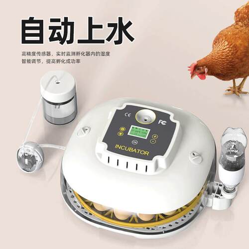跨境孵化器小型家用全自动22枚孵化箱厂家直销零售恒温
