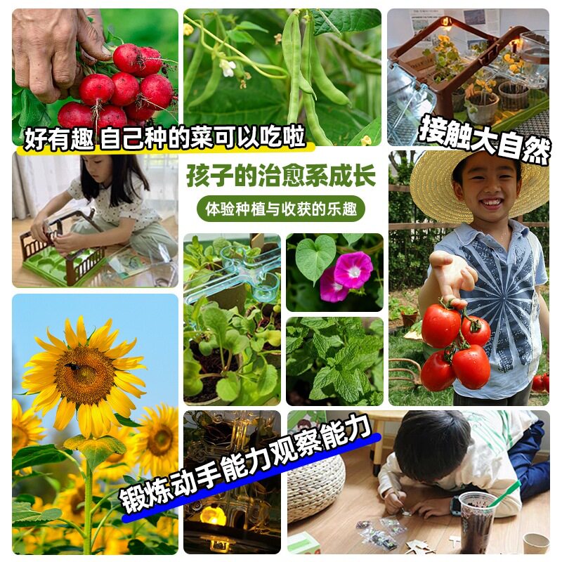 玩具女孩子10岁8女童生日礼物9小学生6网红7爆款新儿童种植阳光房