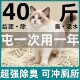 豆腐猫砂20斤大包低尘奶香原味猫咪用品幼猫成猫混合猫沙20斤装