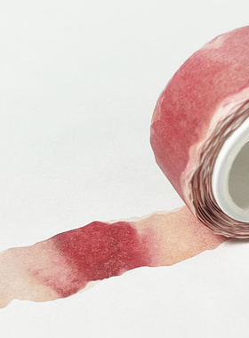 【现货】韩国zagne水果皮树叶和纸胶带 ins风装饰贴插画造景手帐