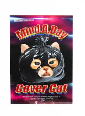 【现货】正版韩国mindaday恶搞covercat猫咪装饰海报挂画A3尺寸