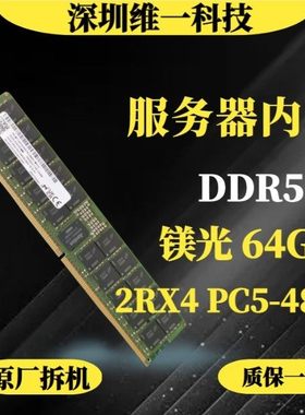64G 2RX4 PC5-4800B-RA0 服务器内存DDR5 4800 REG ECC RDIMM