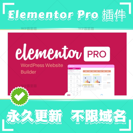 Elementor Pro插件 高级版编辑器 主题编辑器 永久更新 不限域名
