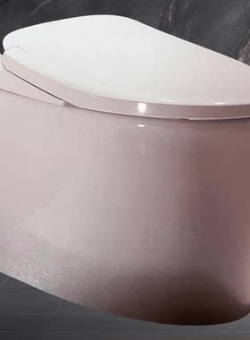 一键旋钮多功能抗菌坐便器埃美柯