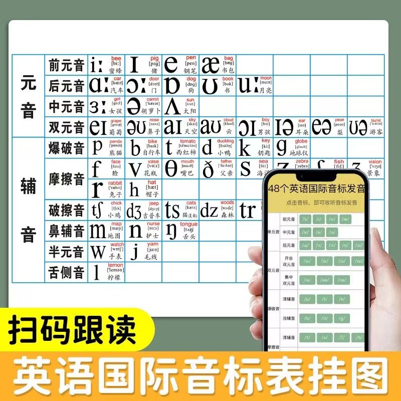 小学英语国际音标表卡片48个英语国际音标发音元音辅音英文字母