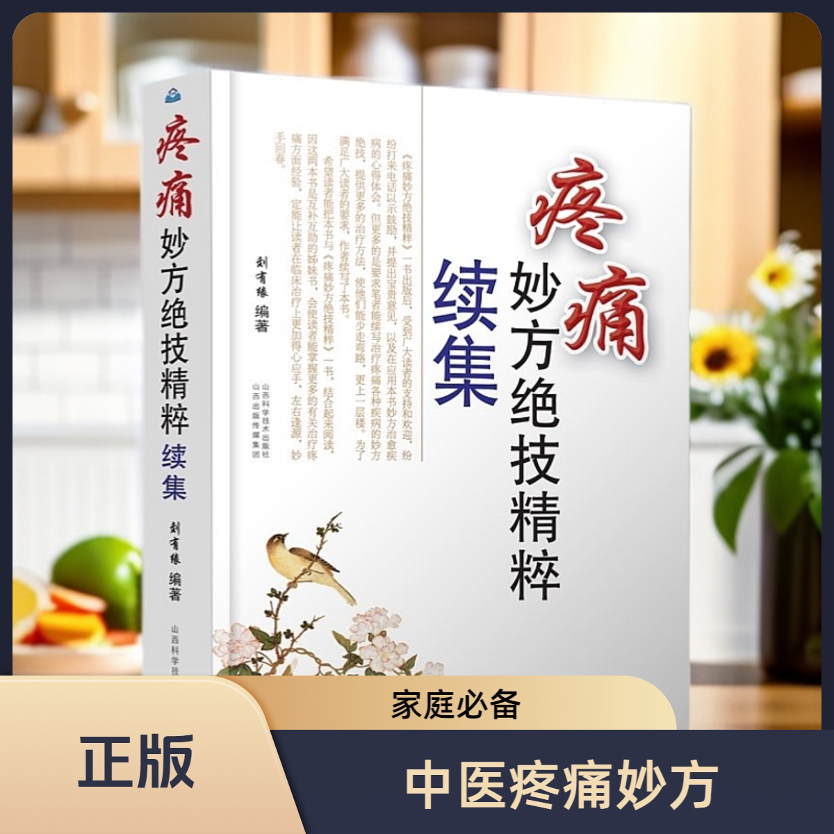 疼痛妙方绝技精粹续集 简明易懂 实用有用 治疗疼痛书籍