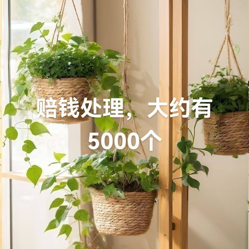 挂壁式小挂篮藤编编织草