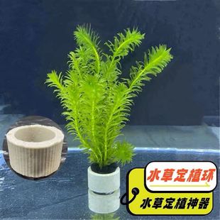 鱼缸用品大全水草定植器定植环沉环三件套鱼缸沉底底座种植水培固