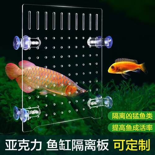 鱼缸隔离网鱼缸隔离板隔板透明亚克力板挡板盖板挡鱼水族箱分离板