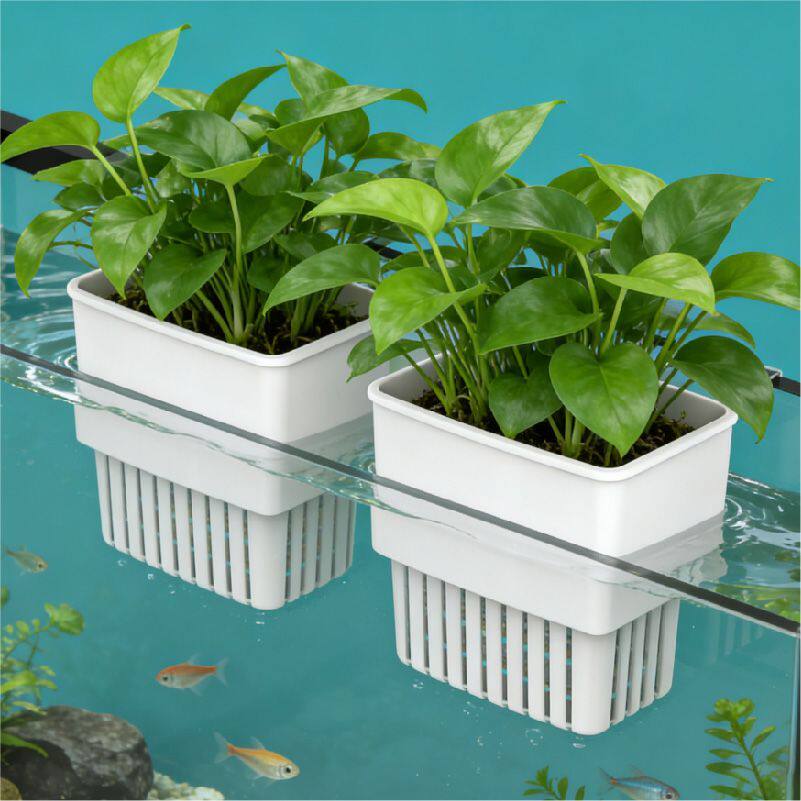 水培固定篮鱼缸固定植物塑料定植篮插花大号挂篮花瓶篮子专用圆形