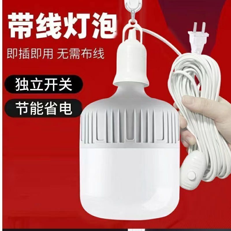 插座式照明带开关带线插