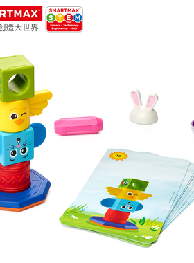 SMARTMAX 图腾搭搭乐 创意磁力棒5款可选