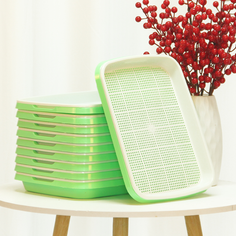 水培芽苗菜育苗盆种菜盆