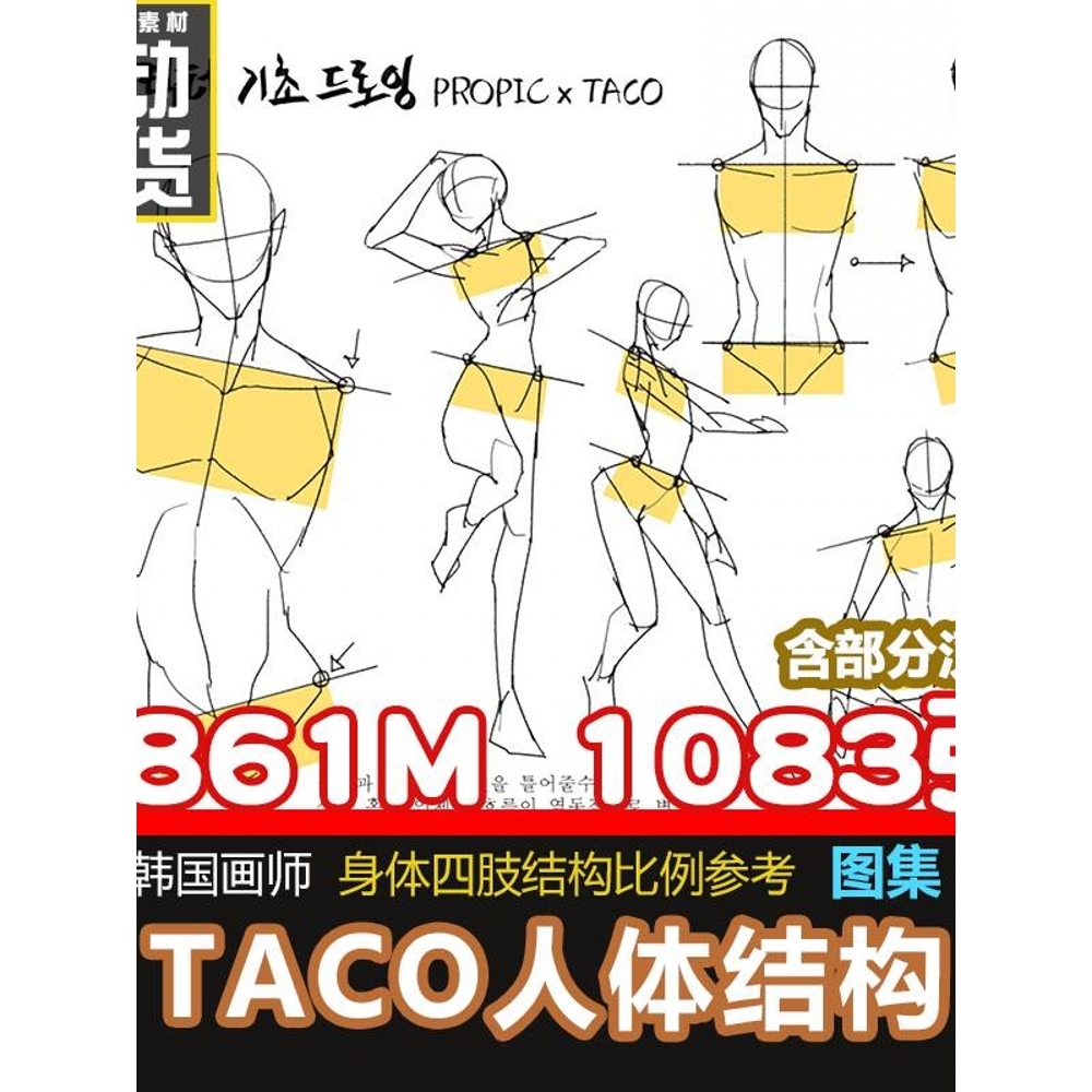 taco人体结构身体角度四肢比例手足头绘画临摹参考资料美术CG素材 商务/设计服务 设计素材/源文件 原图主图