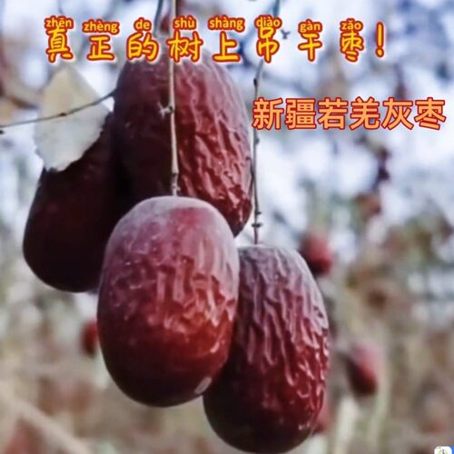 原生态若羌灰枣一级吊干枣特级新