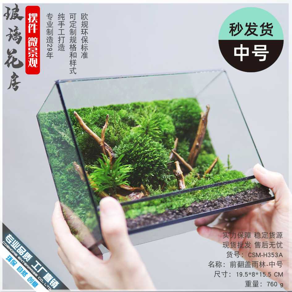 生态瓶苔藓微景观绿植盆栽水草鱼缸装饰造景摆件几个森林玻璃花房