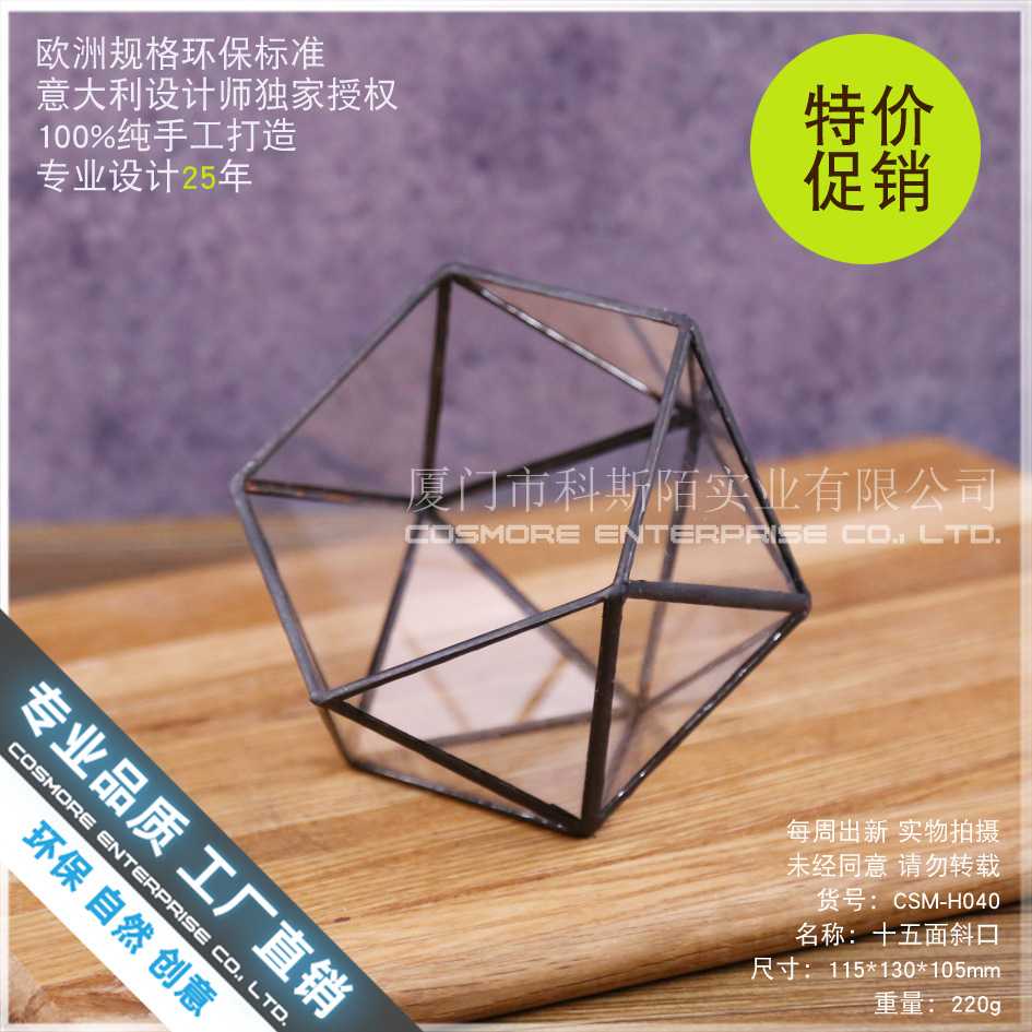 十五面斜口 多肉植物 苔藓微景观 不规则大玻璃永生小花房盒