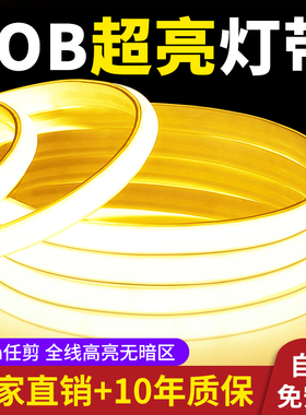 超亮led灯带220v户外防水自粘线形灯室外吊顶广告工程COB软灯条