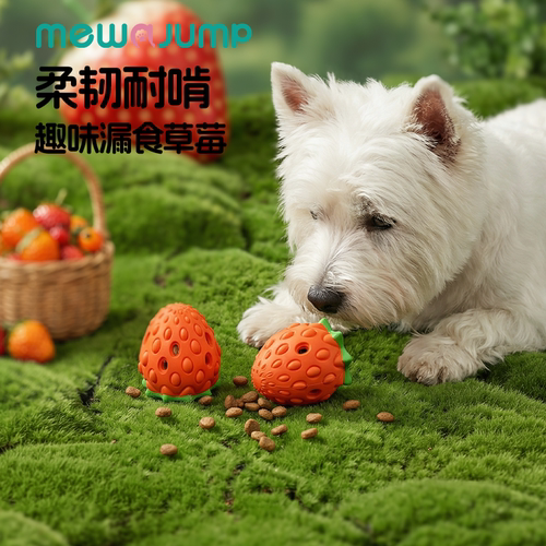 梅花脚漏食宠物玩具益智解闷草莓