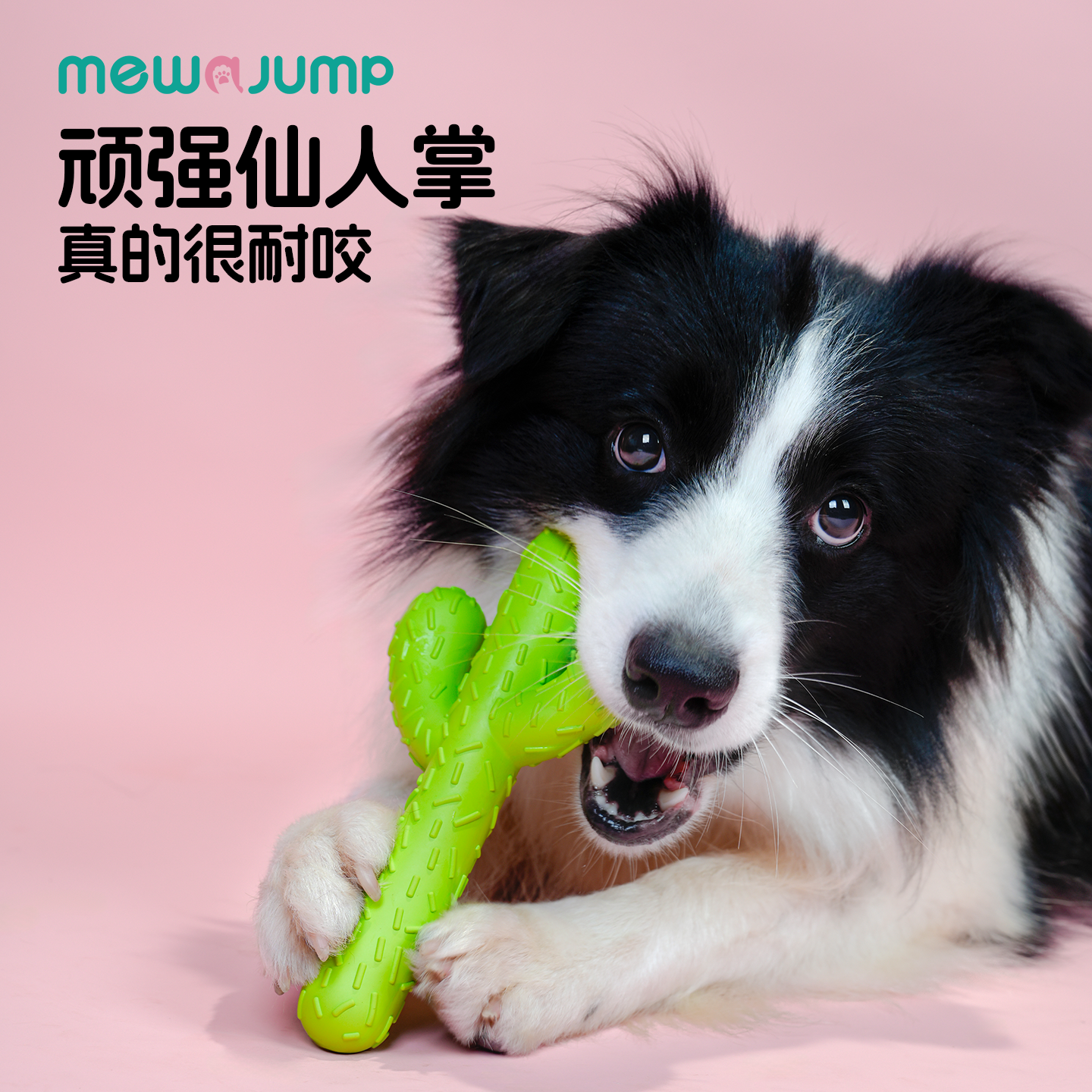 狗狗玩具仙人掌耐咬磨牙棒