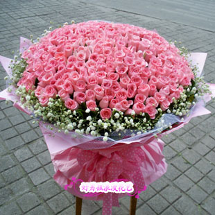 365朵求婚爱情杭州玫瑰花束特价