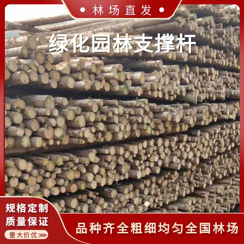 林场绿化支撑杆防汛打桩木桩1-2-3-4-5-6米木杆绿化园林支撑杆