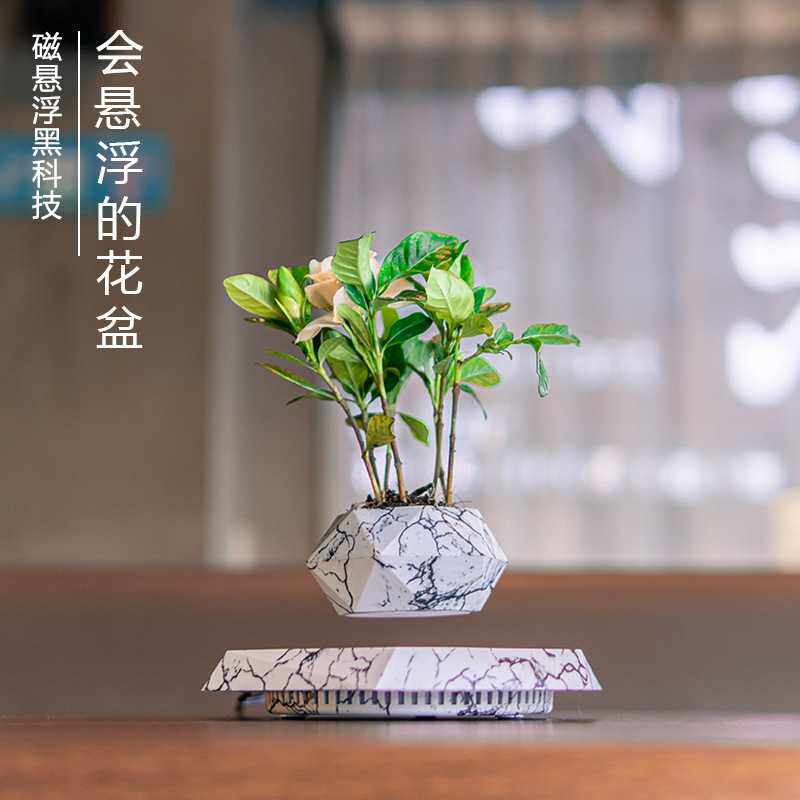 源头厂家磁悬浮盆栽磁悬浮花盆外贸货源代发创意摆件