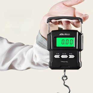 手提电子秤便携式高精度家用弹簧秤快递称买菜小型香山手提秤