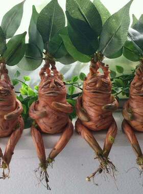 家居庭院装饰Mandrake哈利波特周边曼德拉草树脂摆件工艺品