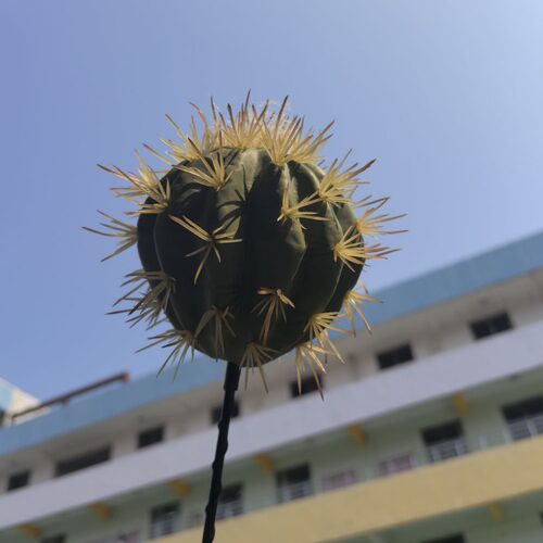 汽车车顶装饰球 仙人球 找车 天线球装饰