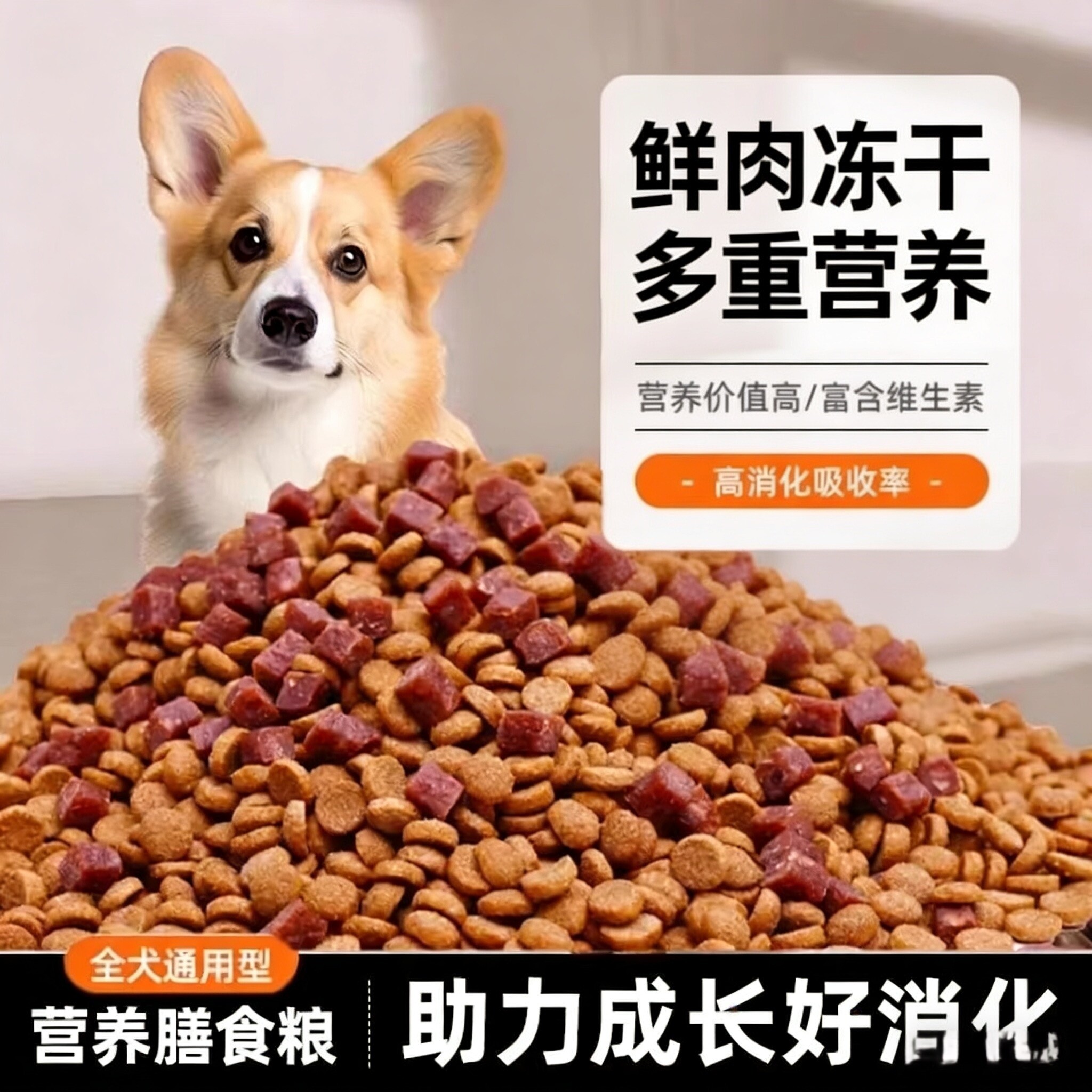狗粮通用型10斤装成犬幼犬粮泰迪拉布拉多金毛土狗家狗通用型5斤