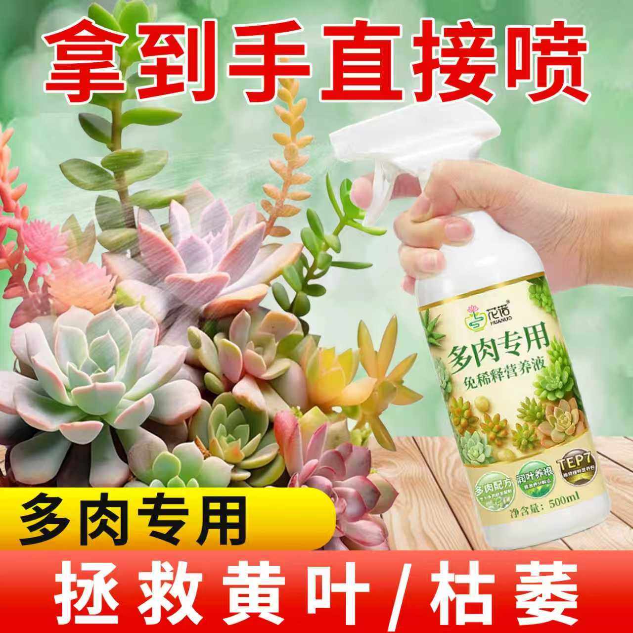 多肉营养液花肥肉肉植物营养肥料专用肥增色免稀释叶面肥营养液,鲜花速递/花卉仿真/绿植园艺,家庭园艺肥料,淘宝优惠券,粉丝福利购,淘宝优惠卷