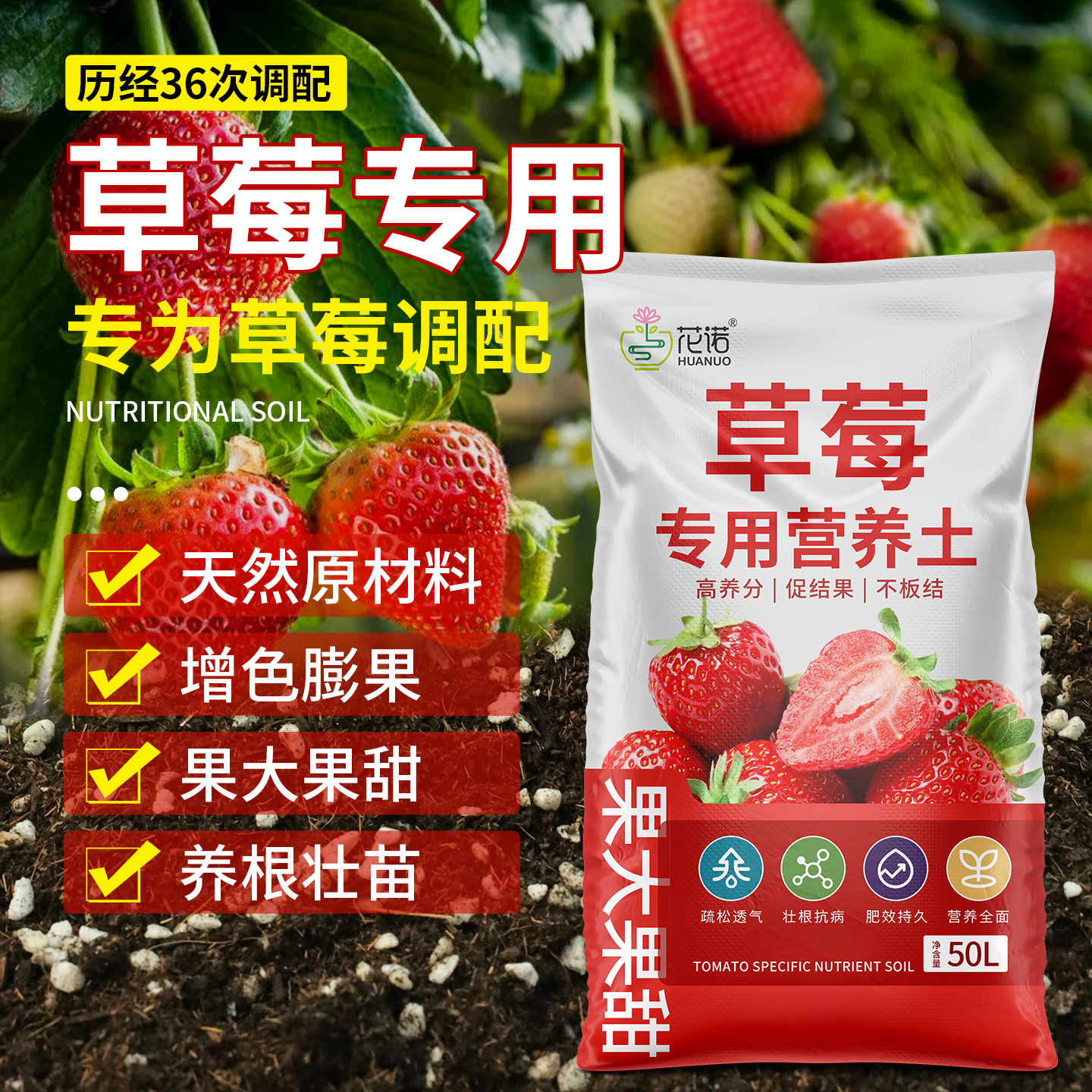 草莓苗盆栽阳台种植土腐殖土