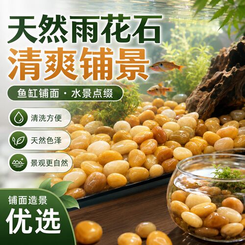黄鹅卵石铺路铺地庭院天然雨花石