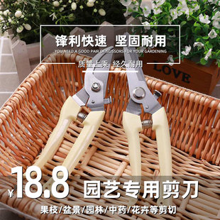 园艺剪刀剪枝剪树枝修枝剪花剪园林修剪粗枝剪子省力花艺工具果树