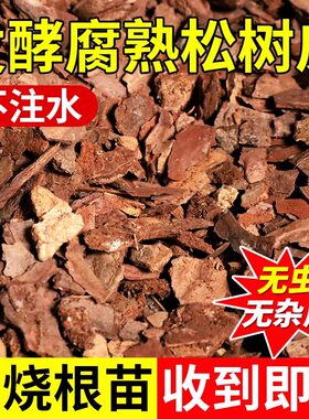 松树皮发酵腐熟松鳞盆栽兰花专用土天然植料营养土君子蝴蝶兰花土