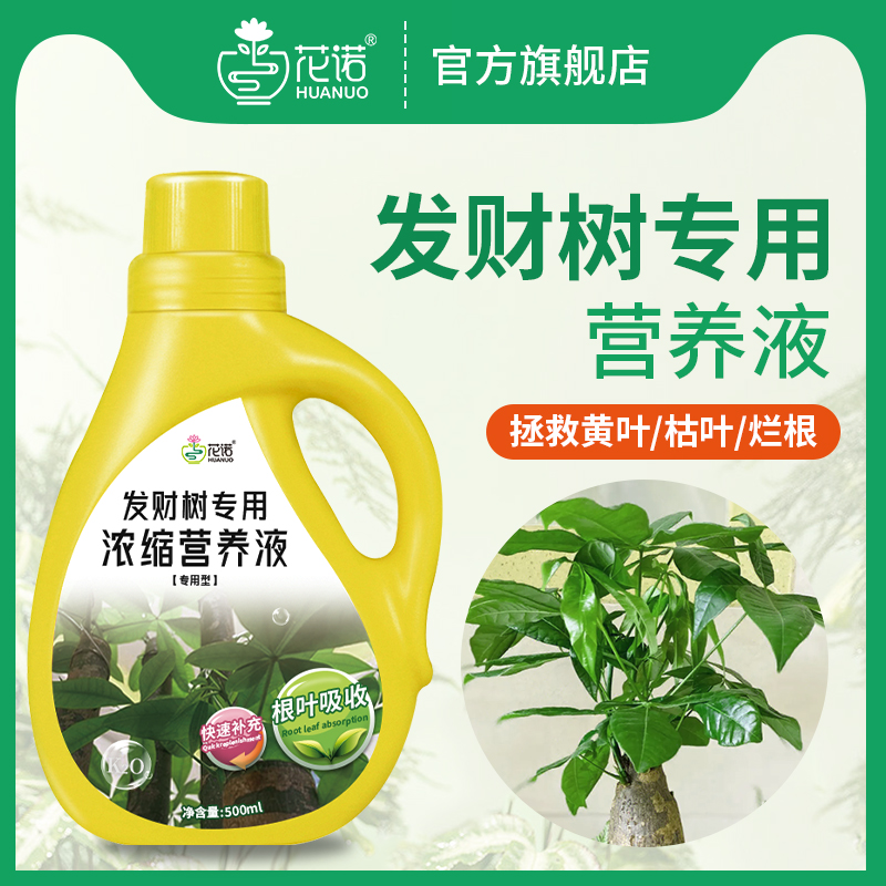 花诺发财树营养液专用肥植物通用