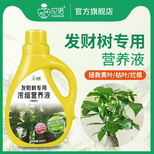 花诺发财树营养液专用肥植物通用