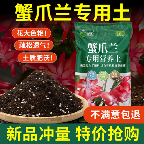 蟹爪兰专用土营养土有机疏松透气