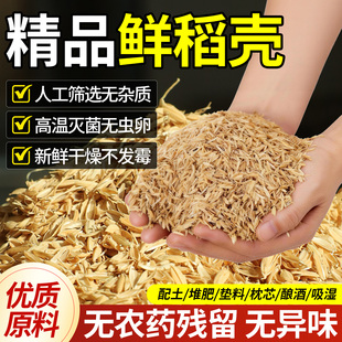 稻壳垫料新鲜谷壳粗糠米糠喂鸡宠物芦丁鸡垫料枕头芯填充酿酒饲料