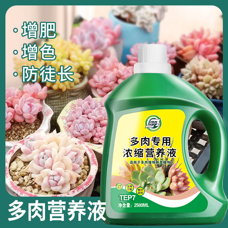 养多肉营养液肥料专用浓缩液体肥