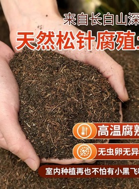 松针腐殖土天然腐叶腐熟纯君子兰花多肉泥炭营养土养花通用专用土